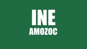 INFO INE DE AMOZOC