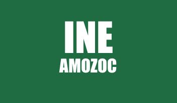 INFO INE DE AMOZOC