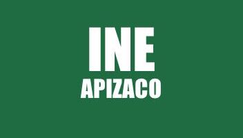 INFO INE DE APIZACO