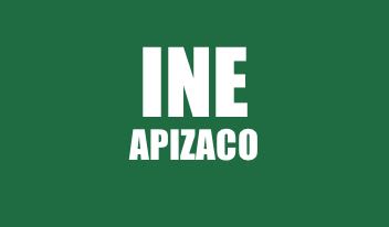 INFO INE DE APIZACO