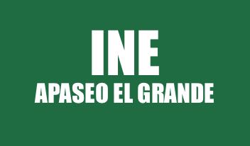 INFO INE DE APASEO EL GRANDE