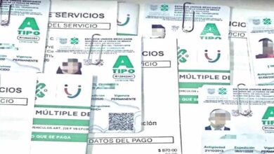 Cómo saber si una licencia es falsa