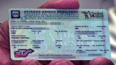 Cómo saber si mi tarjeta de circulación es falsa en cdmx