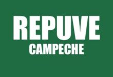 INFO REPUVE CAMPECHE