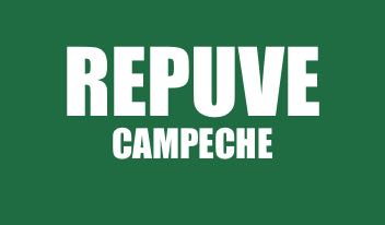 INFO REPUVE CAMPECHE