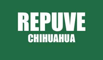 INFO REPUVE CHIHUAHUA