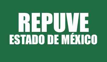 Repuve Estado de México