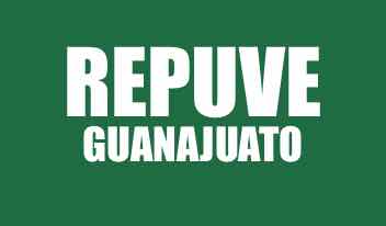 INFO REPUVE GUANAJUATO