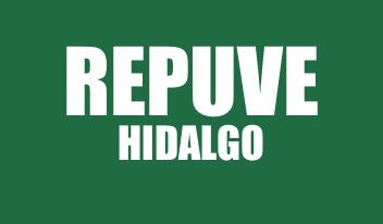 INFO REPUVE HIDALGO