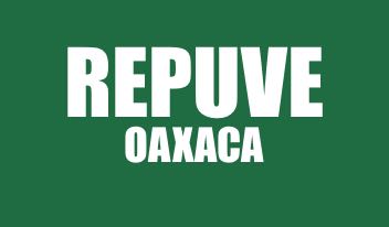 INFO REPUVE OAXACA