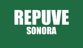 INFO REPUVE SONORA