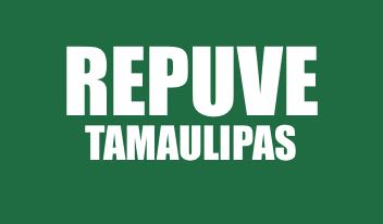 INFO REPUVE TAMAULIPAS