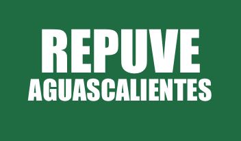 REPUVE AGUASCALIENTES