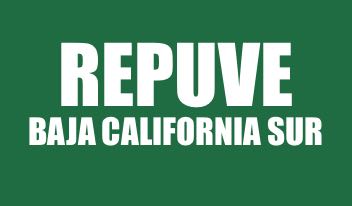 CONSULTA REPUVE BAJA CALIFORNIA SUR