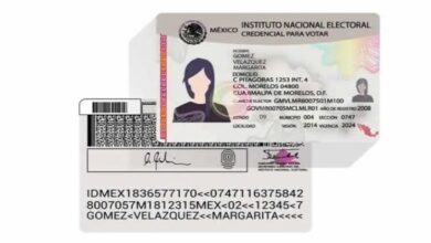 Consultar INE por Nombre y Apellido: Guía Completa