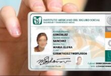 Cómo Sacar tu Número de Seguro Social (NSS) en México Cómo Consultar tu Número de Seguro Social (NSS) en México Cómo Recuperar o Confirmar tu Número de Seguro Social (NSS) en México Cómo Imprimir tu Número de Seguro Social IMSS en Línea