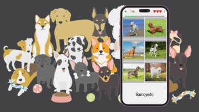 Conoce la app que tiene un quiz de raza de perro para que te desafíes