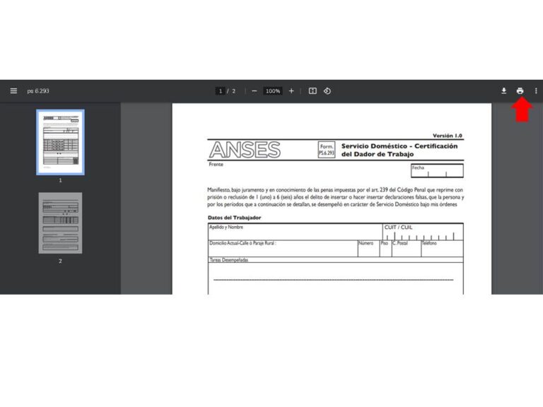 formulario 6.293 Servicio doméstico
